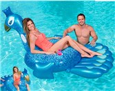 昌洒镇水上浮具